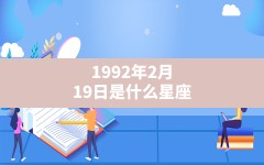 1992年2月19日是什么星座