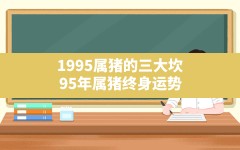 1995属猪的三大坎,95年属猪终身运势