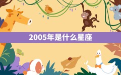 2005年是什么星座