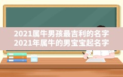 2021属牛男孩最吉利的名字,2021年属牛的男宝宝起名字