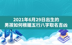 2021年6月29日出生的男孩如何根据五行八字取名吉凶(2021年6月29日出生的人什么命)