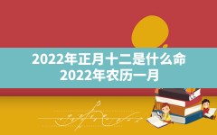 2022年正月十二是什么命(2022年农历一月二十二吉时是什么时候)