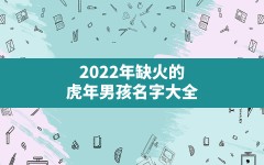 2022年缺火的虎年男孩名字大全,男孩缺火取什么名字好听