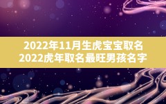 2022年11月生虎宝宝取名,2022虎年取名最旺男孩名字