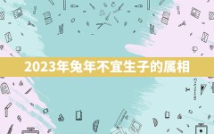 2023年兔年不宜生子的属相