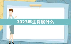 2023年生肖属什么