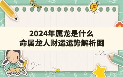 2024年属龙是什么命属龙人财运运势解析图(属龙的人2024年的运势及运程)