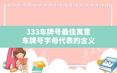 333车牌号最佳寓意,车牌号字母代表的含义