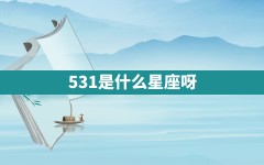 5.31是什么星座呀