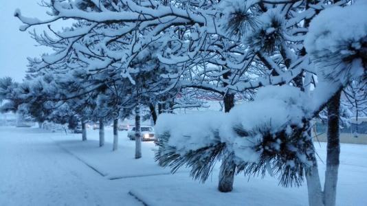 梦见下雪是怎么回事(中午梦到下雪了周公解梦)