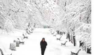 梦见下雪是怎么回事女(梦见地上有雪,但没下雪)