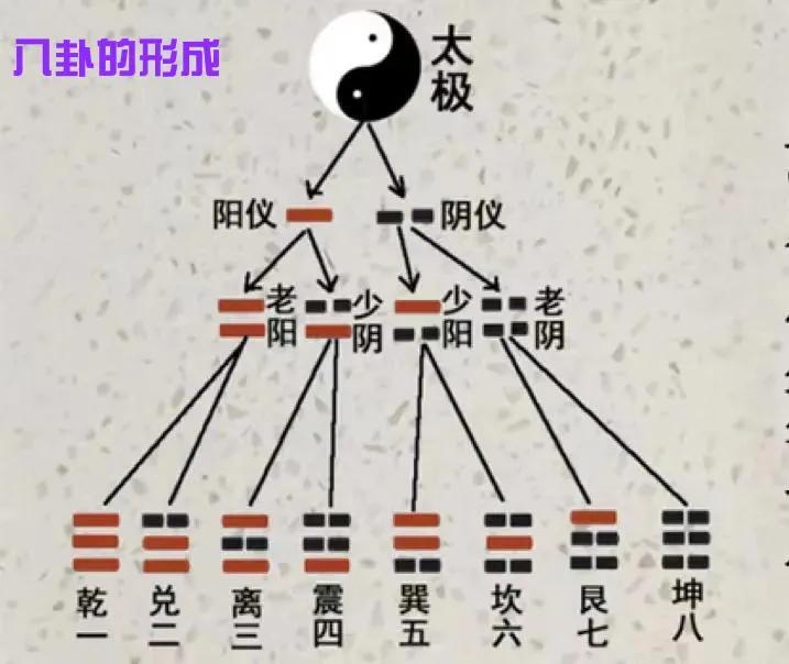 八卦 太后 疼爱 离卦 小儿子视频