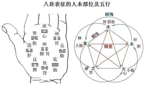 每天几分钟，这样学习易经，实在太简单了，0基础也可以学得会