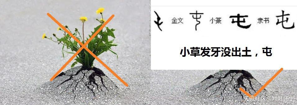 就是汉字的