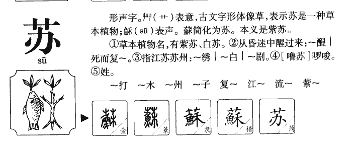 易经64卦——周原地震，南仲讨伐昆夷，得《震》卦