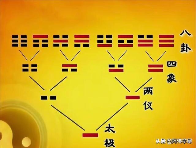 太极生两仪 两仪生四象 四象衍八卦 八卦衍万物