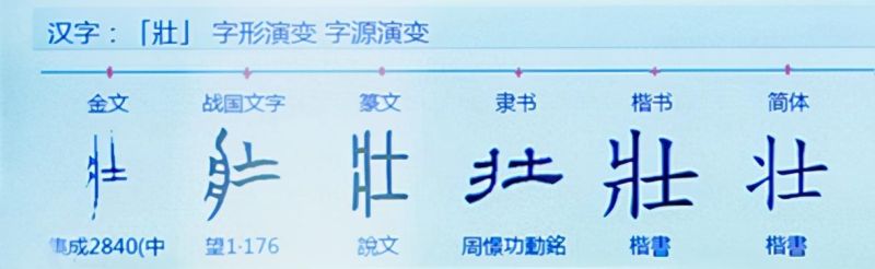 2021年指导性年度汉字“奘”揭晓