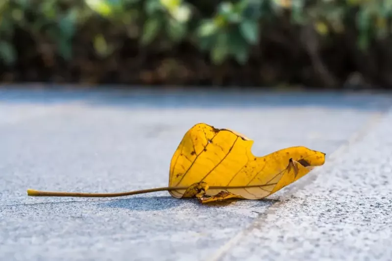 遇君子则君子,遇小人则小人